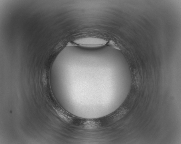 X0000082150562200702162211