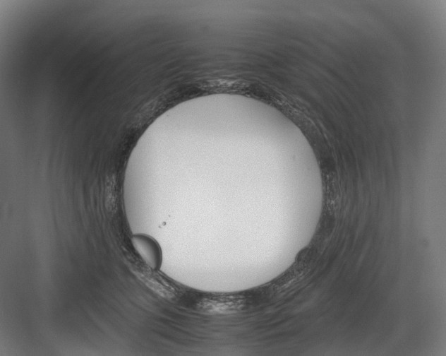 X0000082150563200702162211