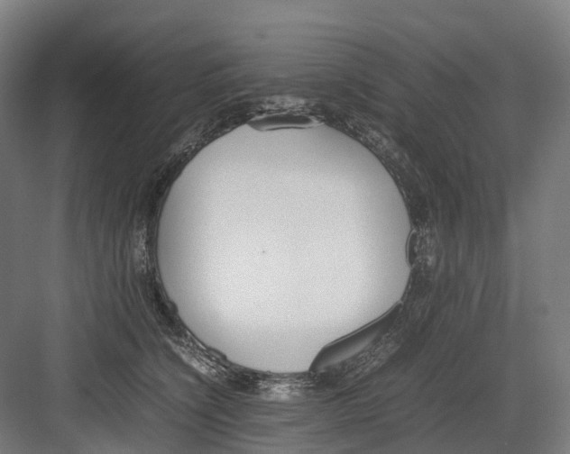 X0000082150564200702162211