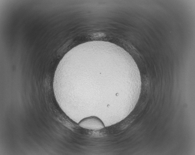 X0000082150565200702162211