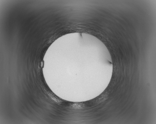 X0000082150566200702162211