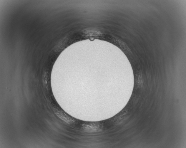 X0000082150567200702162211