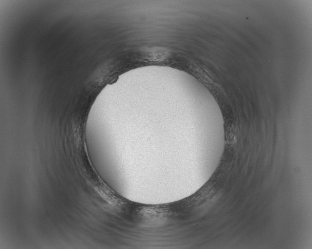 X0000082150568200702162211