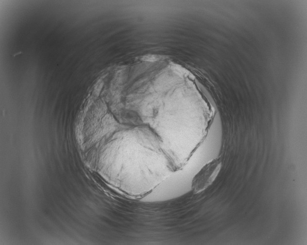 X0000082150569200702162211