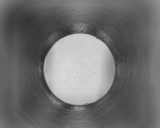 X0000082150570200702162212