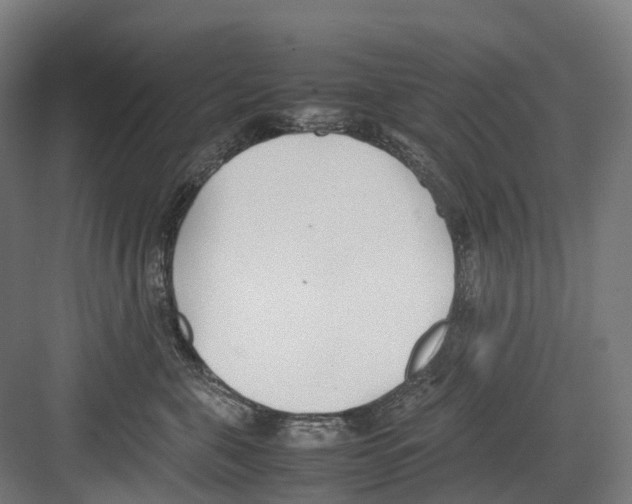 X0000082150571200702162212