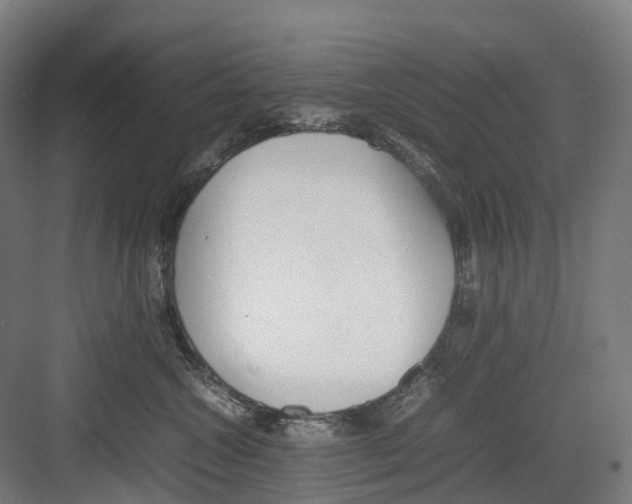 X0000082150572200702162212