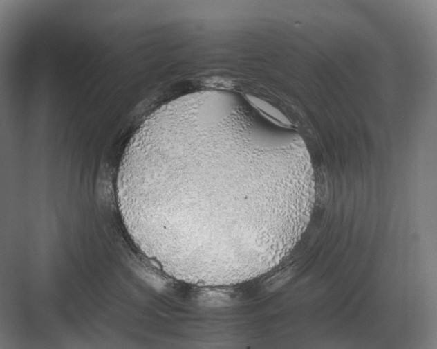 X0000082150573200702162212