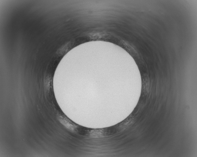 X0000082150574200702162212