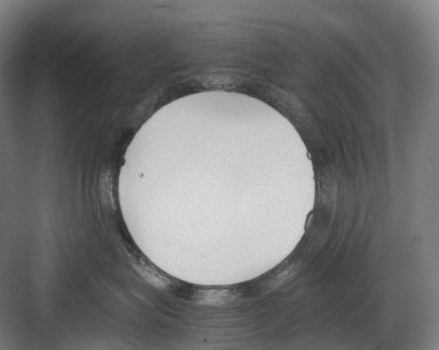 X0000082150575200702162212