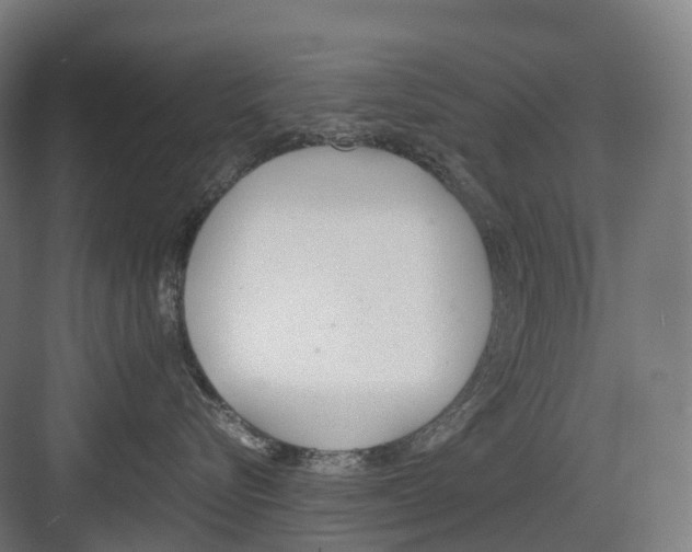 X0000082150576200702162212