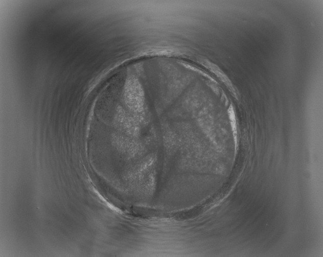 X0000082150577200702162211