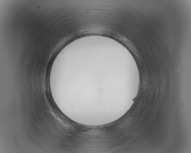 X0000082150578200702162211