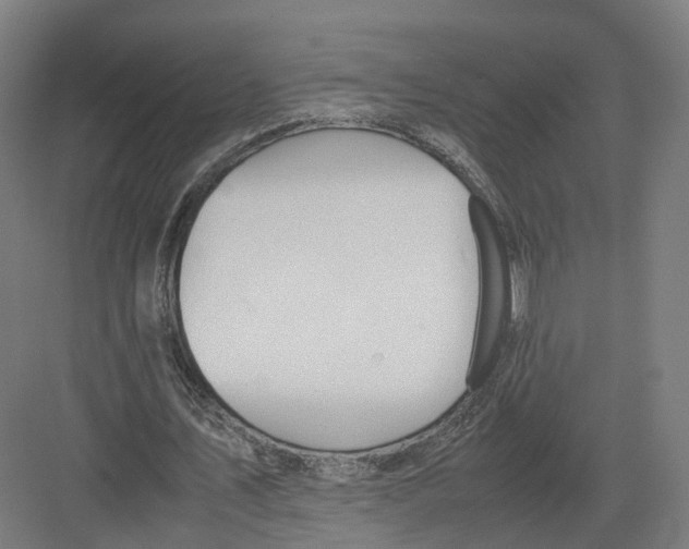 X0000082150579200702162211