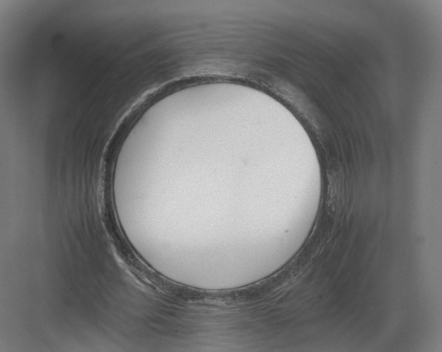 X0000082150580200702162211