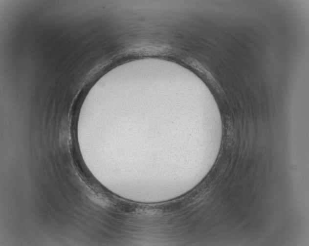 X0000082150582200702162211