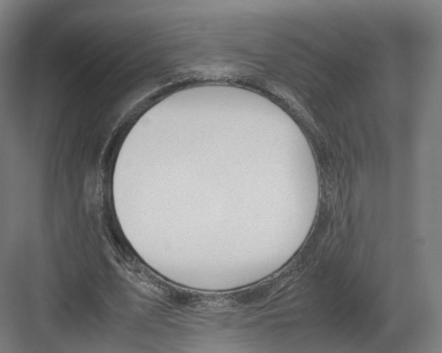 X0000082150583200702162211