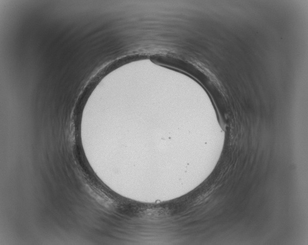 X0000082150584200702162211