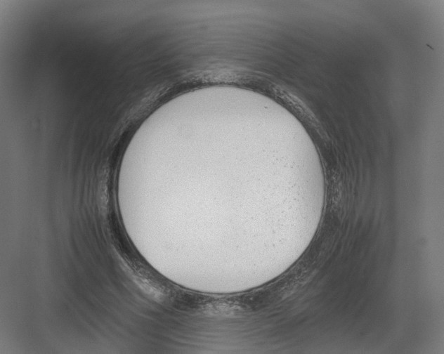 X0000082150586200702162211