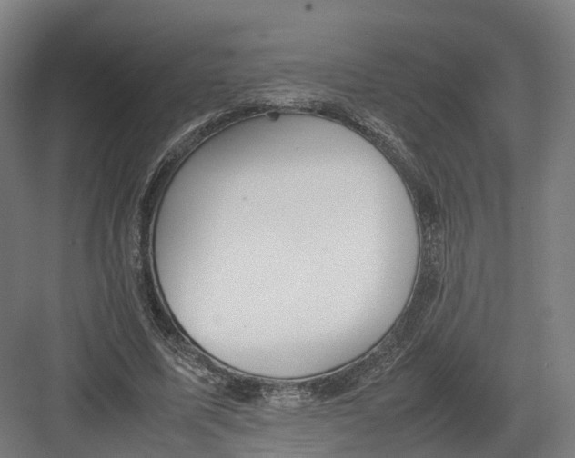 X0000082150587200702162211