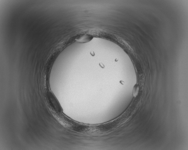 X0000082150589200702162211