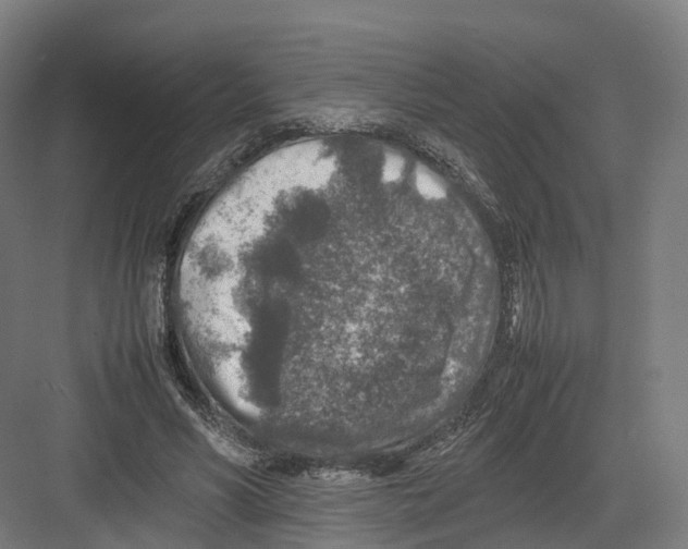 X0000082150590200702162211