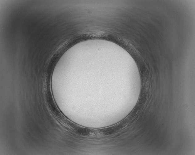 X0000082150591200702162211