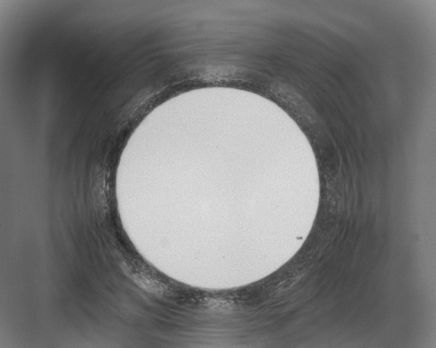 X0000082150592200702162211