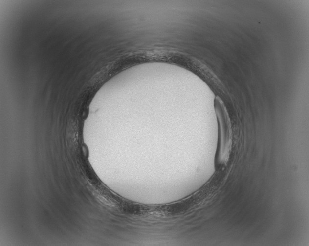 X0000082150593200702162211