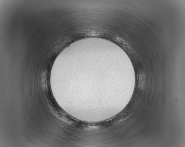 X0000082150594200702162211