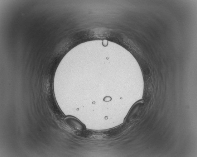 X0000082150595200702162210