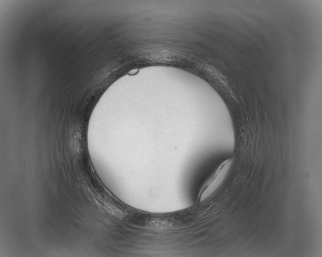 X0000082150596200702162210