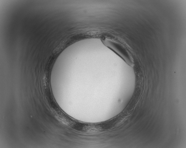 X0000082150597200702162210