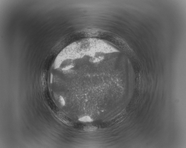 X0000082150598200702162210