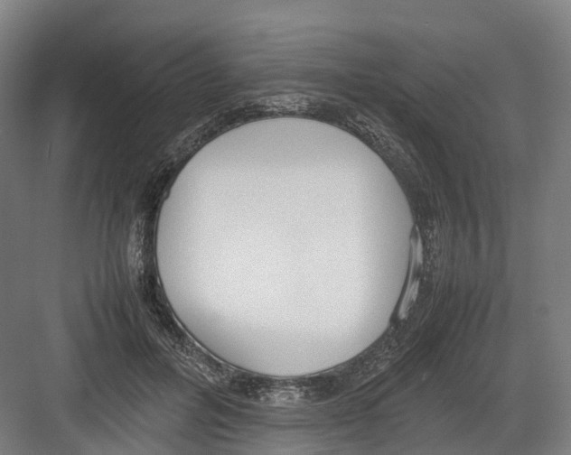 X0000082150600200702162210