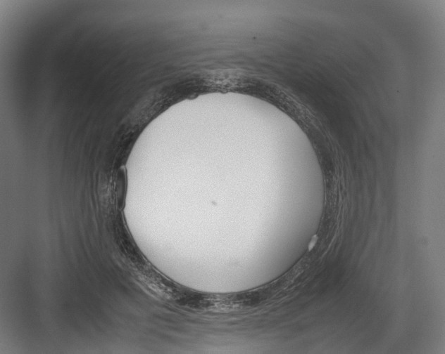 X0000082150601200702162210