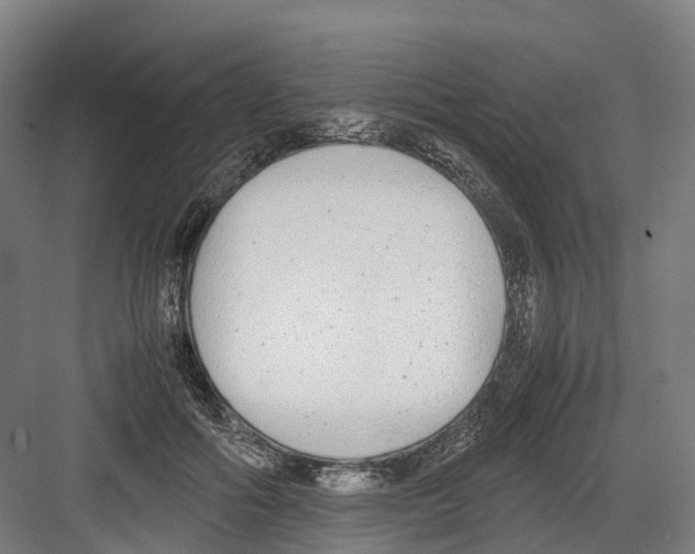 X0000082150602200702162210