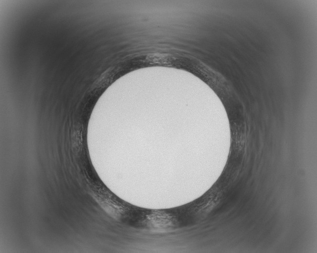 X0000082150603200702162210