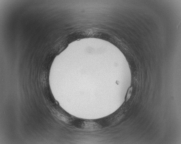 X0000082150605200702162210