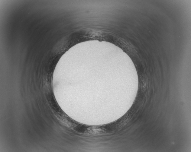 X0000082150607200702162210