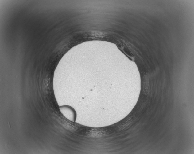 X0000082150608200702162210