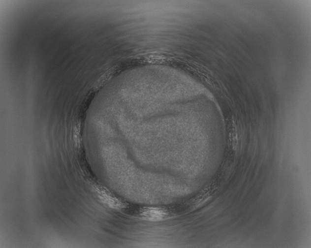 X0000082150610200702162210