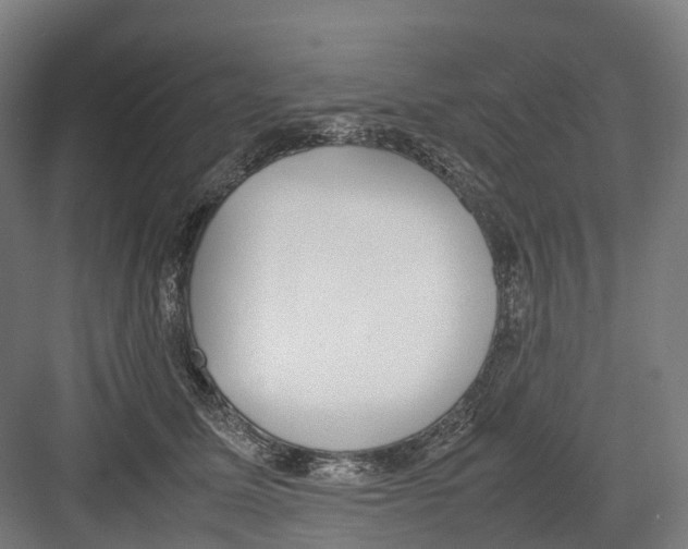 X0000082150611200702162210