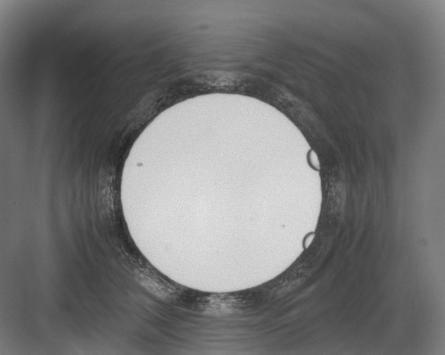 X0000082150612200702162210