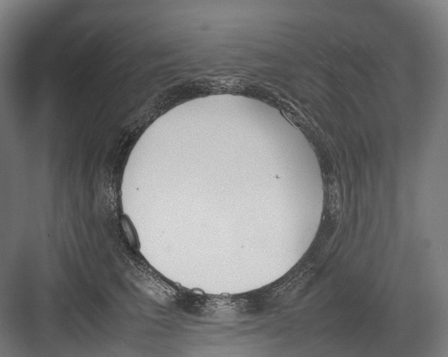 X0000082150613200702162210