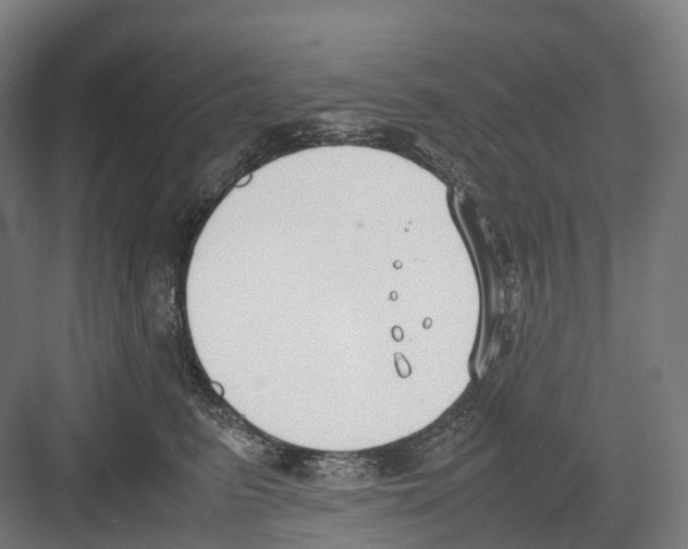 X0000082150615200702162210