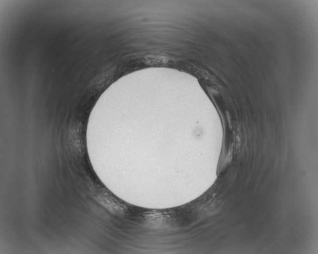 X0000082150616200702162210