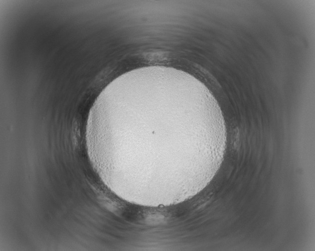 X0000082150618200702162210