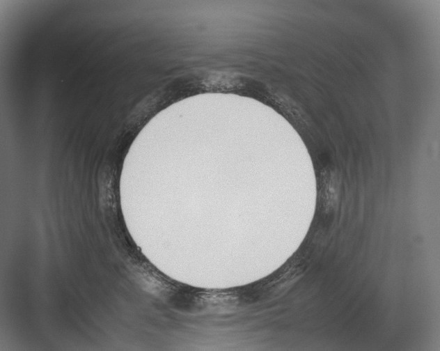 X0000082150619200702162210