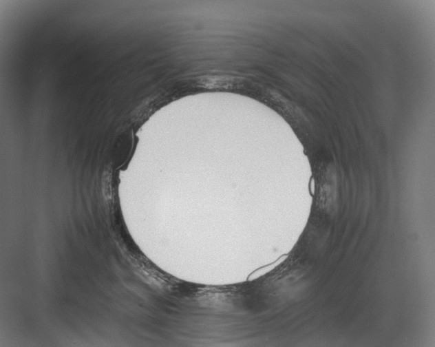 X0000082150620200702162210